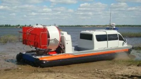 11T