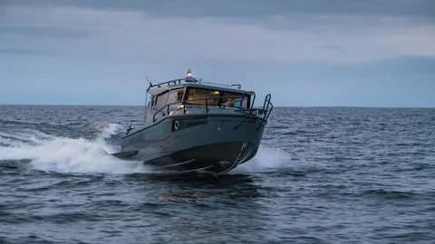 Orca 26