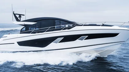 Predator 65