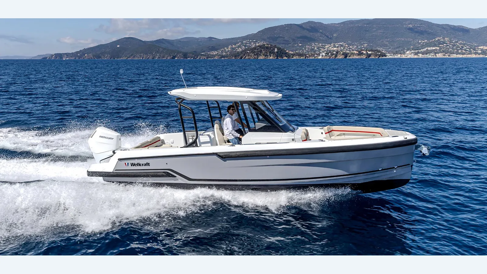 Wellcraft 28 T-Top