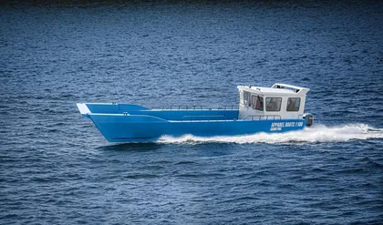 1100 Cabin Pro