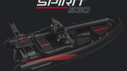 S530C