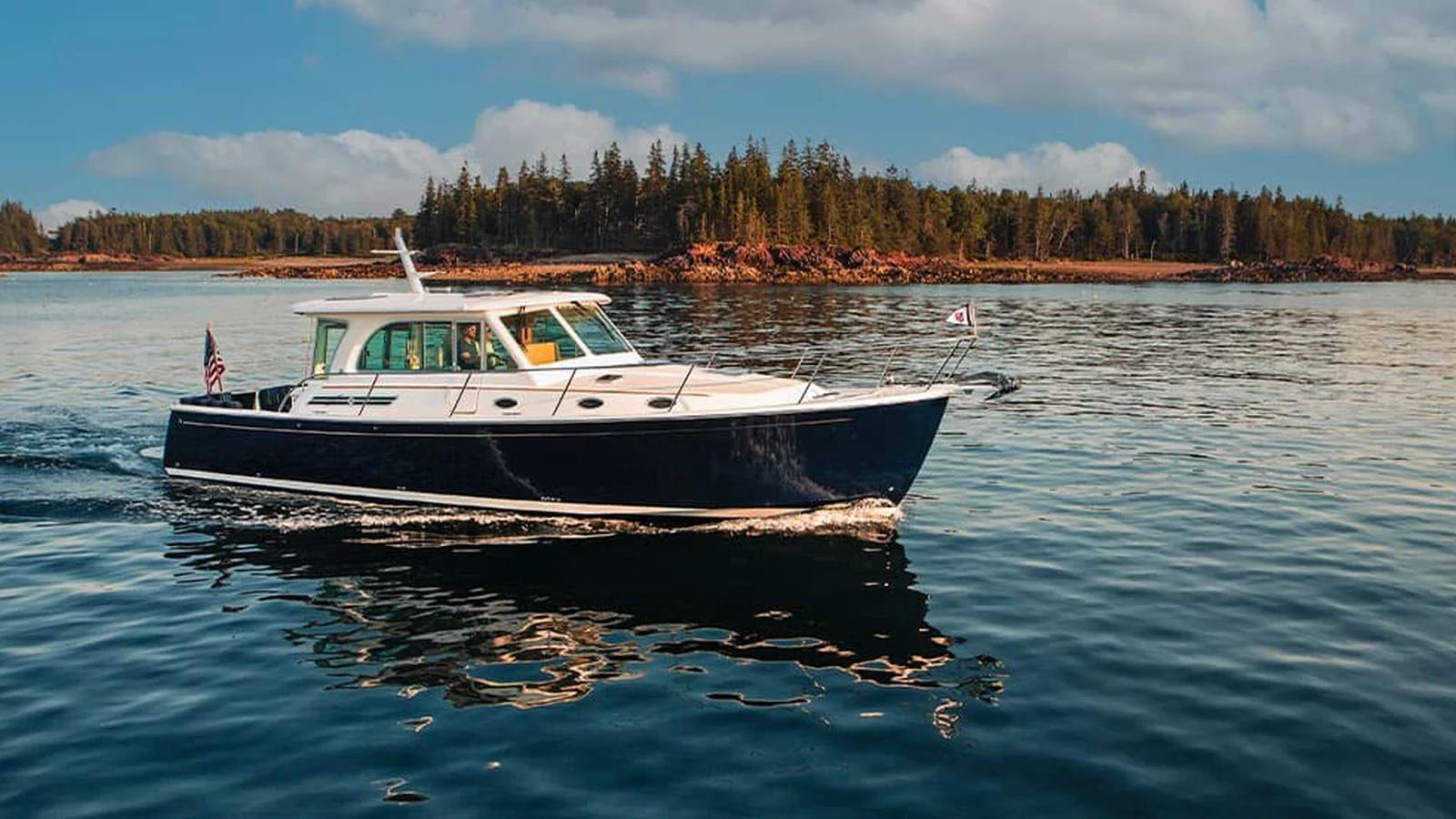 Back Cove 41