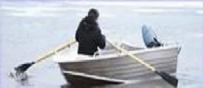 ДМБ 430