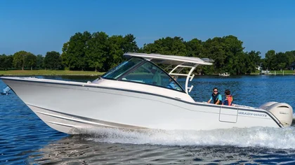 Freedom 325