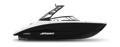 AR250